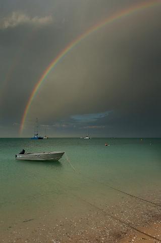 049 Shark Bay, monkey mia.jpg